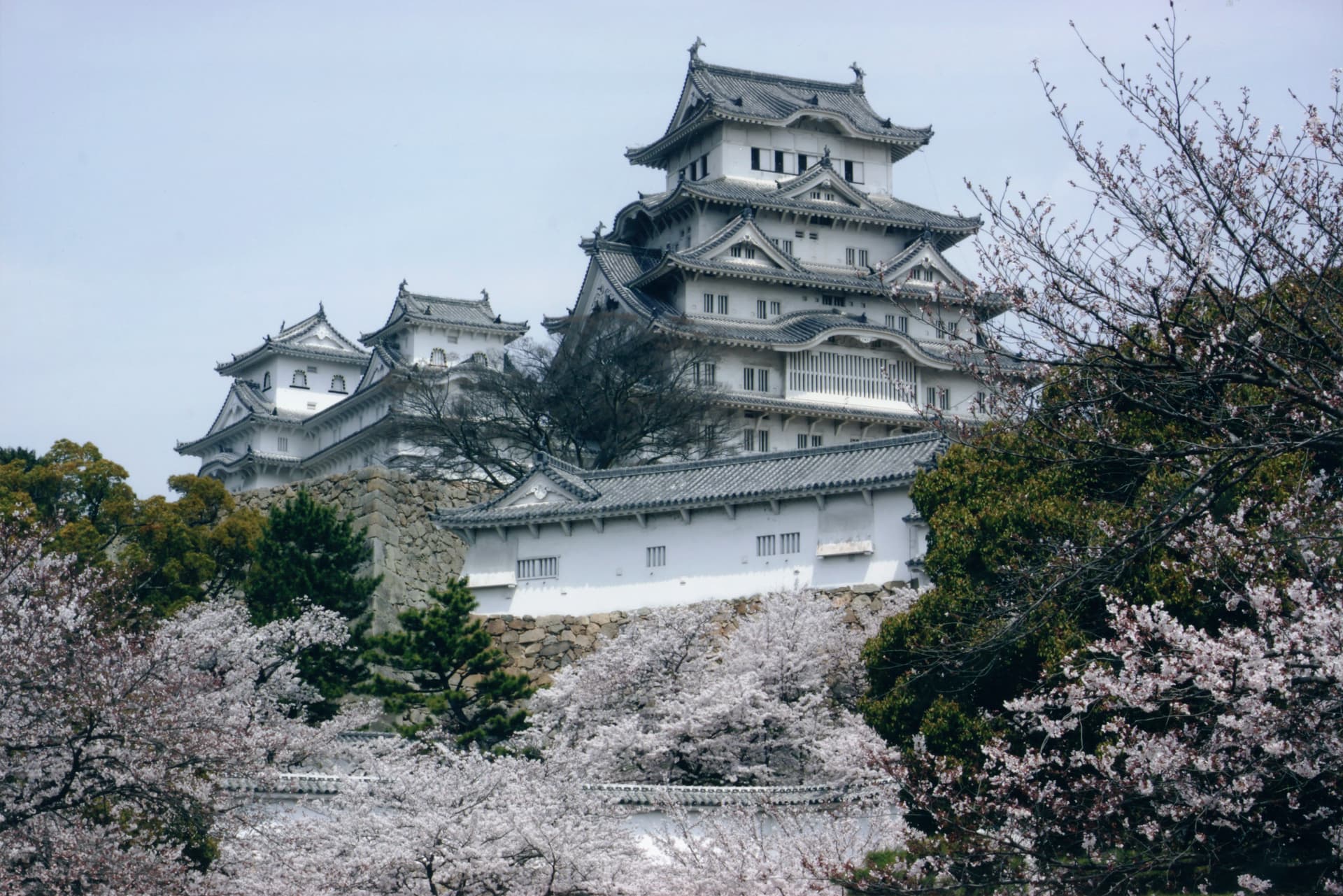 令和6年度 ユネスコ世界遺産写真展