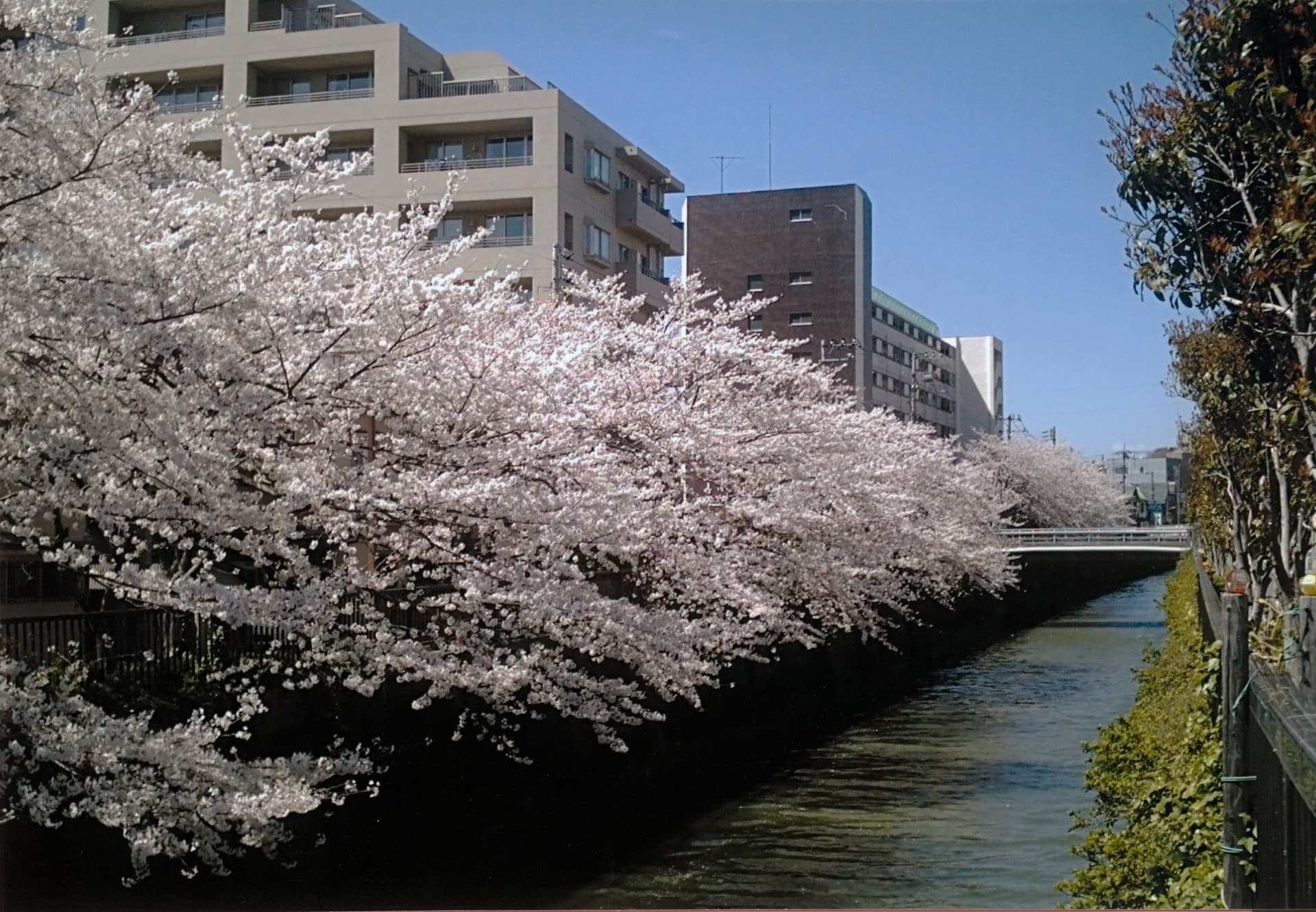 令和7年度 大田地域遺産写真展