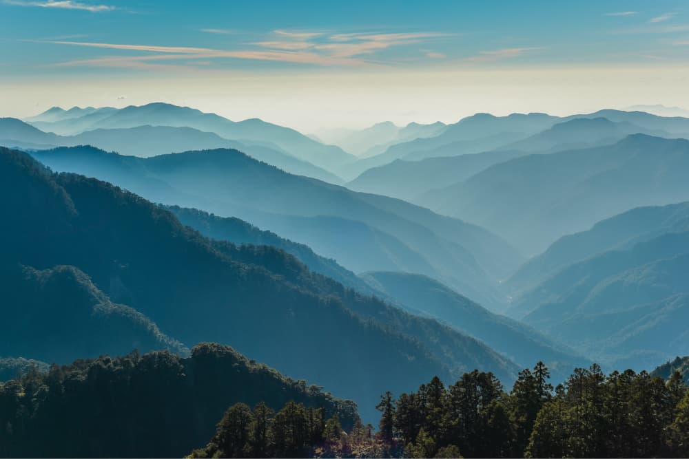 多摩川の筏流し